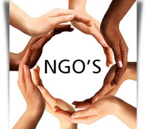 Role Of NGOs In India